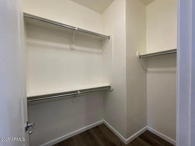 6557 S Classic Way, Gilbert, AZ 85298 - walk in closet featuring dark wood-style flooring