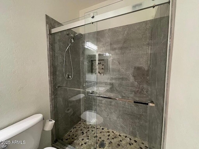 6557 S Classic Way, Gilbert, AZ 85298 - bathroom with toilet and a shower stall