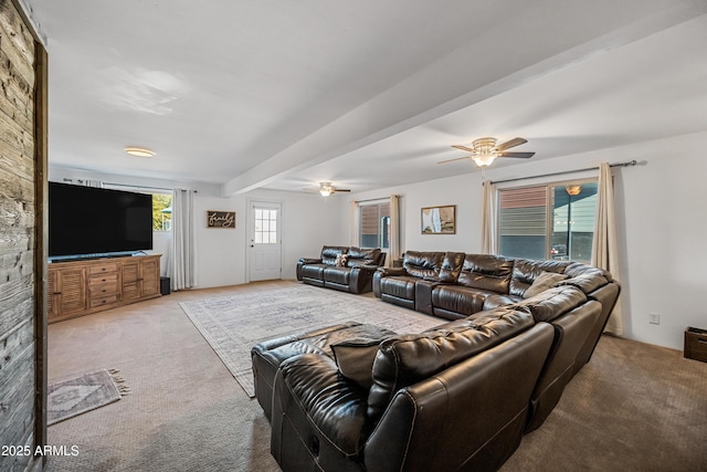 living room with ceiling fan and carpet floors