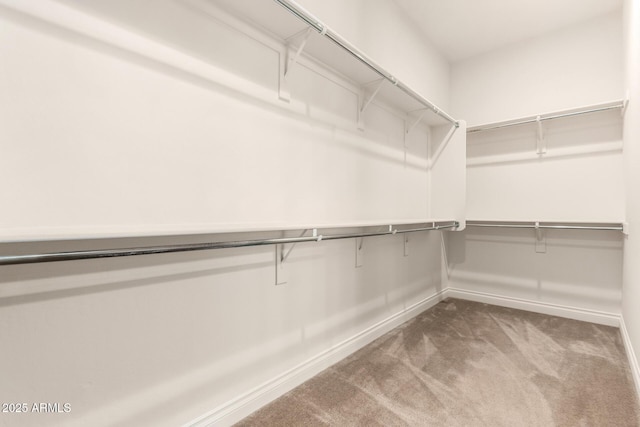 spacious closet featuring carpet flooring