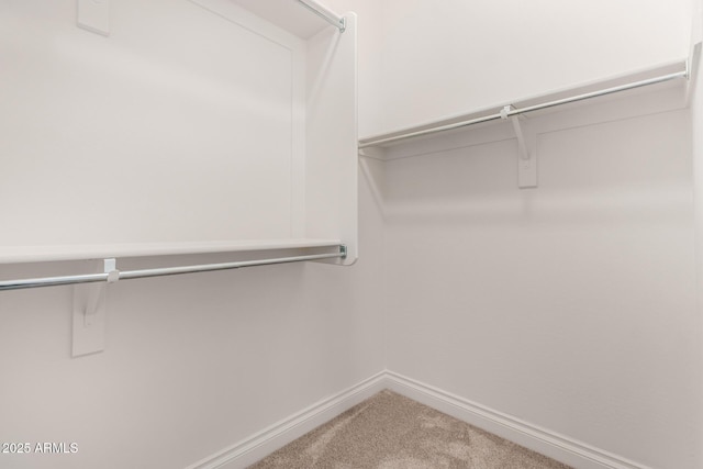 walk in closet featuring carpet floors