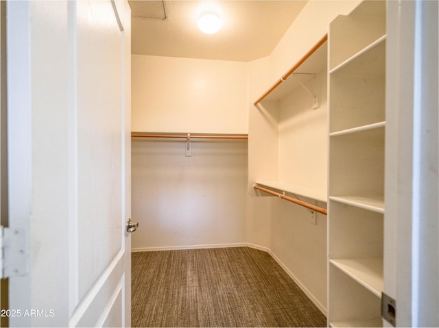 22986 S 208th St, Queen Creek, AZ 85142 - spacious closet featuring dark colored carpet