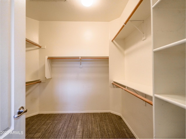 22986 S 208th St, Queen Creek, AZ 85142 - spacious closet with dark colored carpet