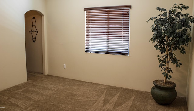 carpeted empty room with arched walkways