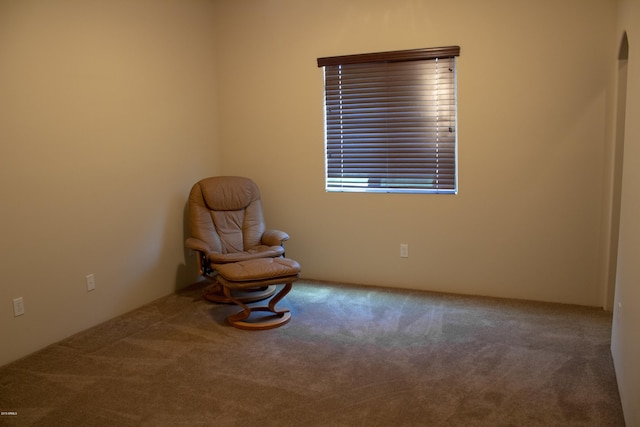 unfurnished room featuring carpet flooring