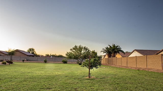 view of yard featuring a fenced backyard