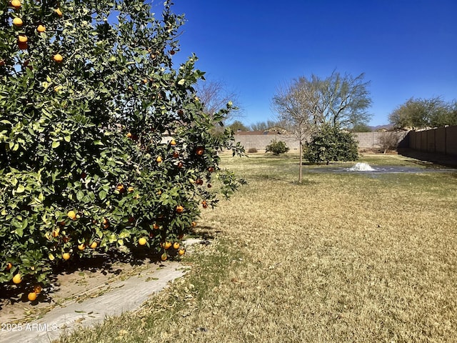 view of yard with fence