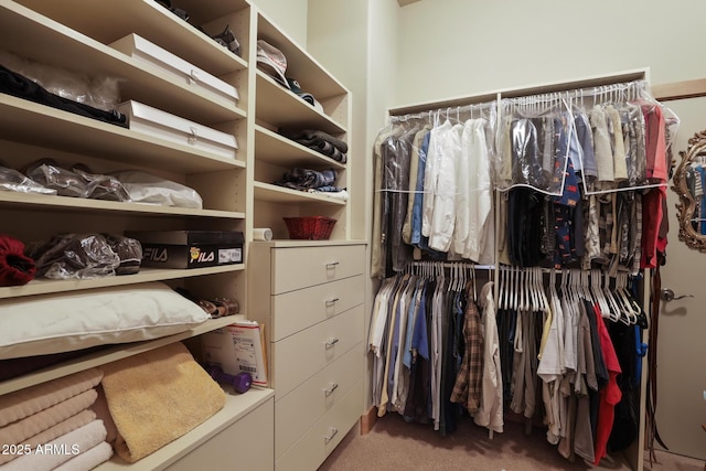 2800 E Morning Glory Cir, Payson, AZ 85541 - spacious closet featuring carpet floors