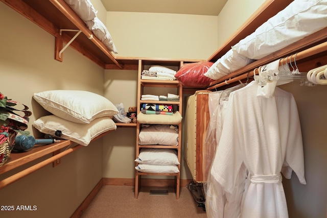 2800 E Morning Glory Cir, Payson, AZ 85541 - spacious closet with carpet
