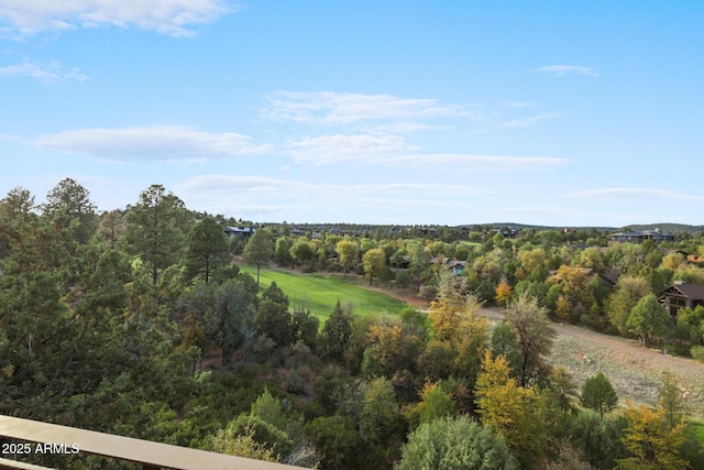 2800 E Morning Glory Cir, Payson, AZ 85541 - view of mountain background