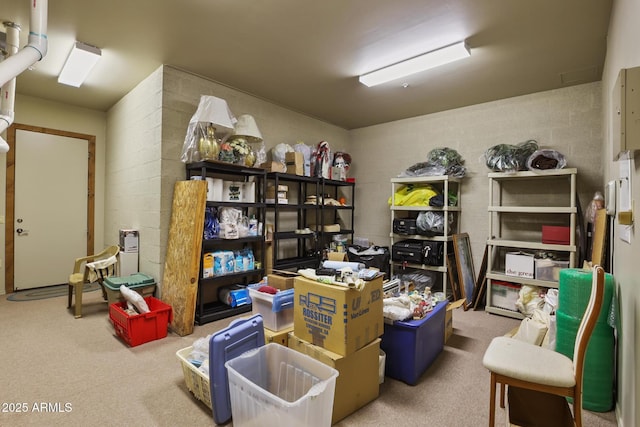 2800 E Morning Glory Cir, Payson, AZ 85541 - view of storage room