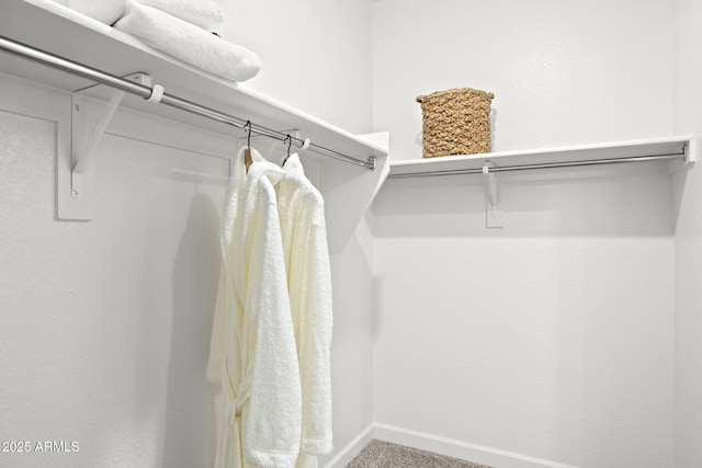 spacious closet featuring carpet