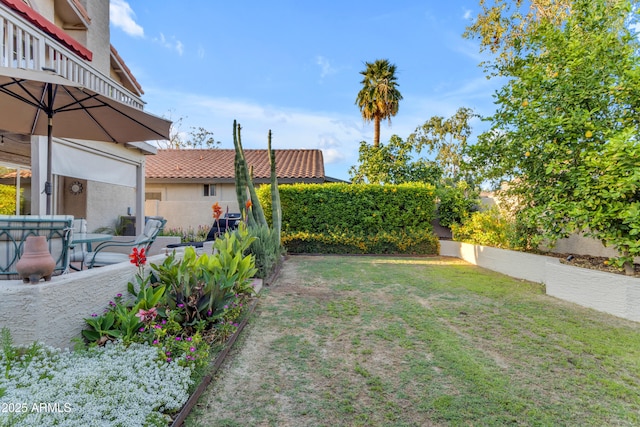 view of yard featuring fence