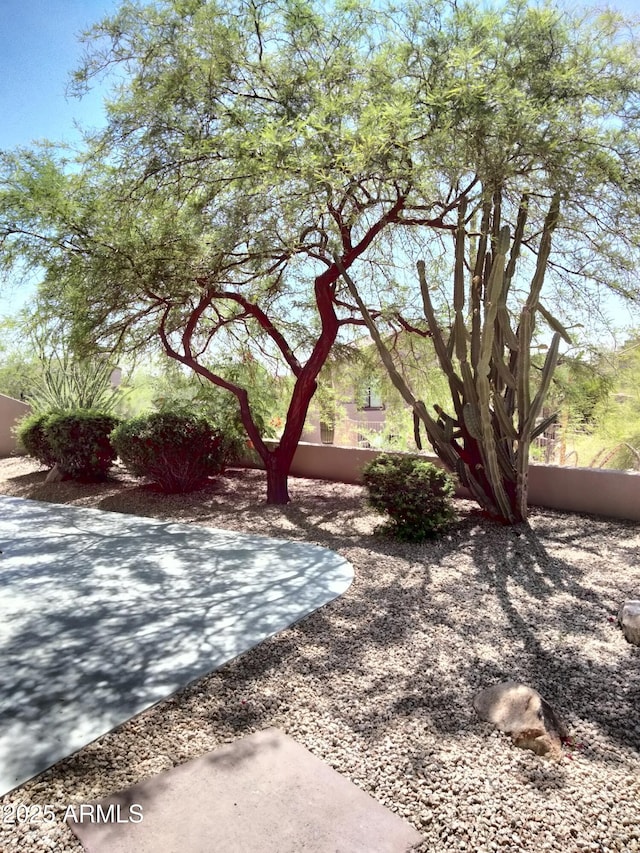 25150 N Windy Walk Dr Unit 14, Scottsdale, AZ 85255 - view of yard with a patio