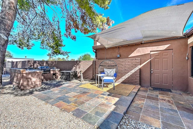 view of patio / terrace with an outdoor kitchen