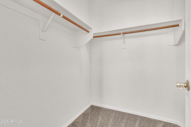 209 E Diamond Trl, San Tan Valley, AZ 85143 - spacious closet featuring carpet floors
