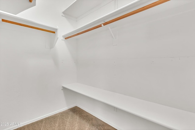 209 E Diamond Trl, San Tan Valley, AZ 85143 - walk in closet featuring carpet
