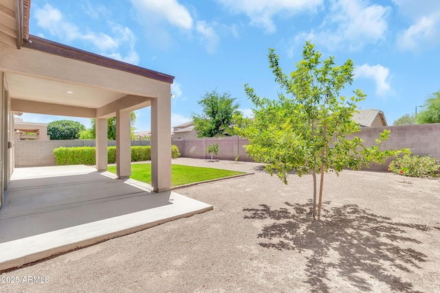 209 E Diamond Trl, San Tan Valley, AZ 85143 - view of yard with a patio