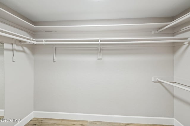 18548 E Parada Cir, Rio Verde, AZ 85263 - spacious closet featuring wood finished floors
