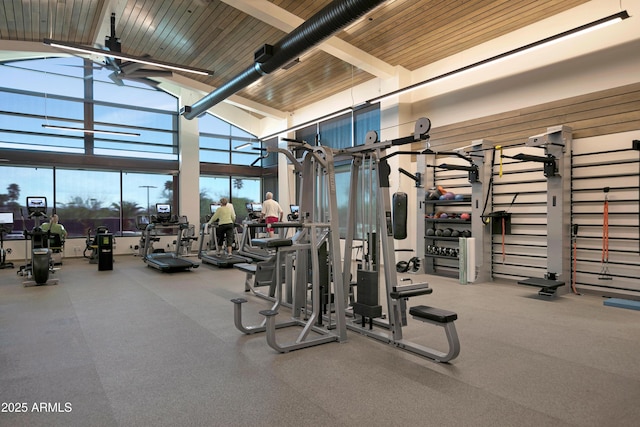 18548 E Parada Cir, Rio Verde, AZ 85263 - gym with high vaulted ceiling
