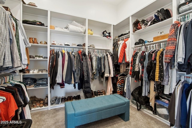 walk in closet with light colored carpet