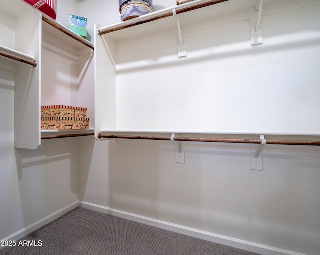 7648 S Thimble Peak, Gold Canyon, AZ 85118 - walk in closet with carpet flooring