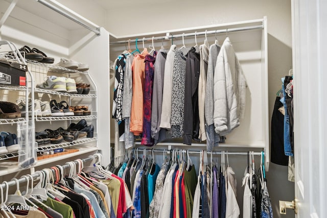 view of spacious closet