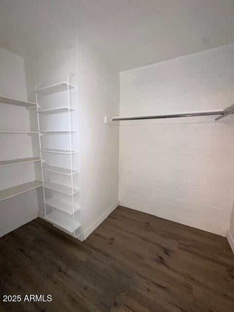 walk in closet with dark wood-style flooring