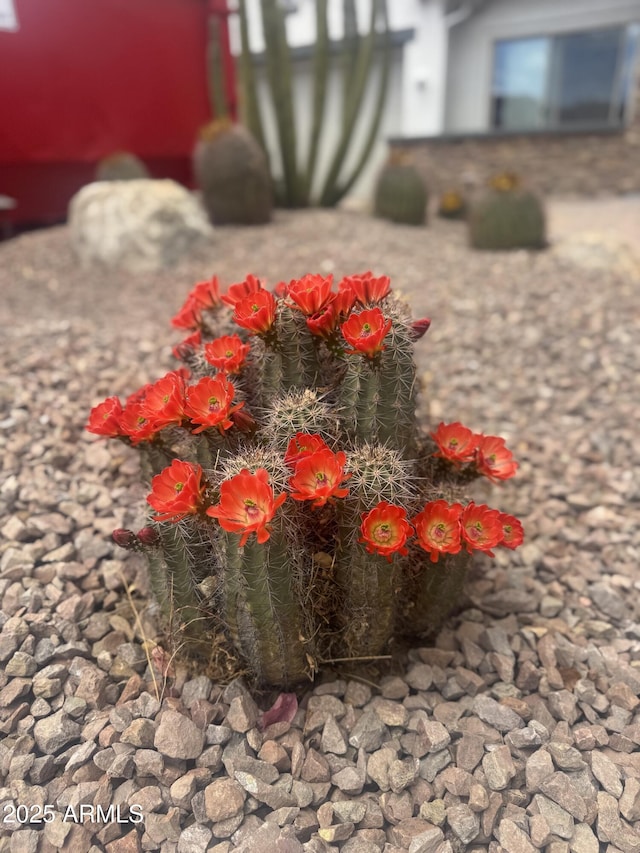 7590 W Firebird Dr, Glendale, AZ 85308 - detailed view