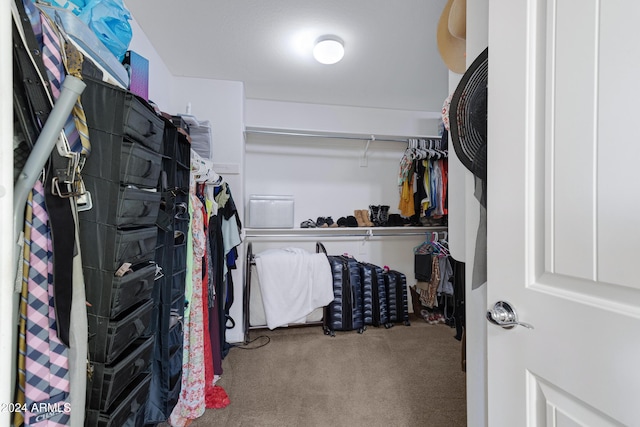 spacious closet featuring carpet