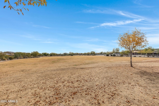 view of yard featuring a rural view