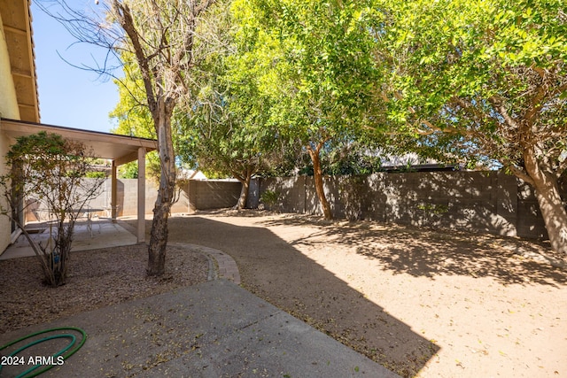 view of yard featuring a patio