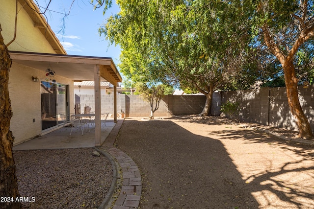 view of yard featuring a patio