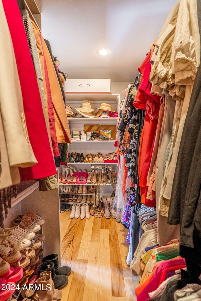 spacious closet with hardwood / wood-style floors