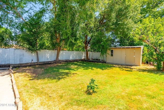 view of yard with a storage unit