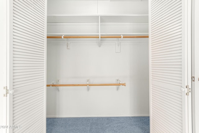 view of closet