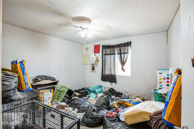 bedroom with ceiling fan