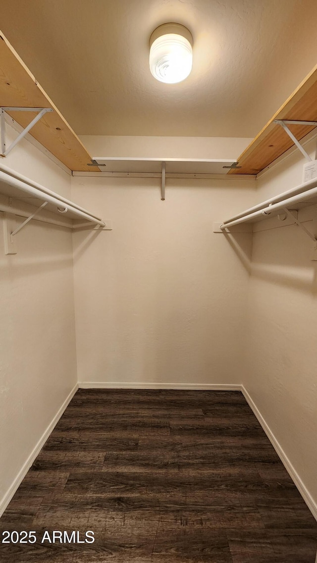 spacious closet featuring dark hardwood / wood-style flooring