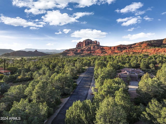 view of mountain feature featuring a wooded view