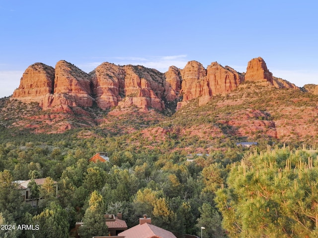 mountain view featuring a forest view