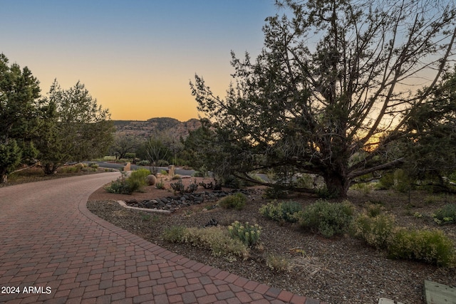 exterior space featuring decorative driveway