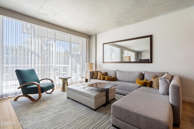 living room featuring light hardwood / wood-style floors