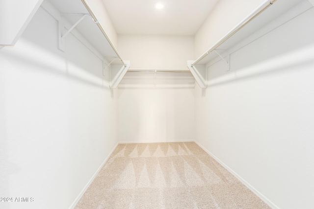 spacious closet featuring carpet flooring