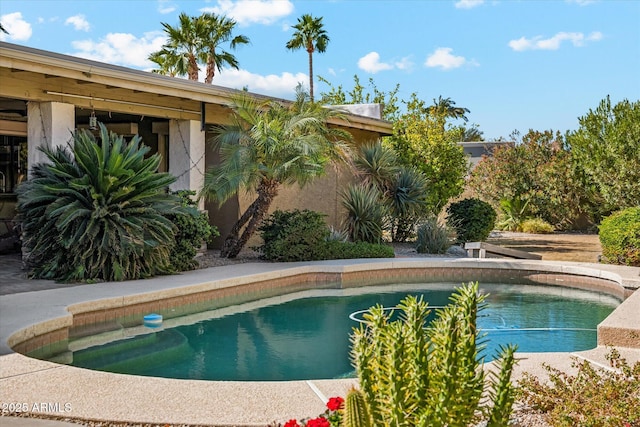 view of swimming pool