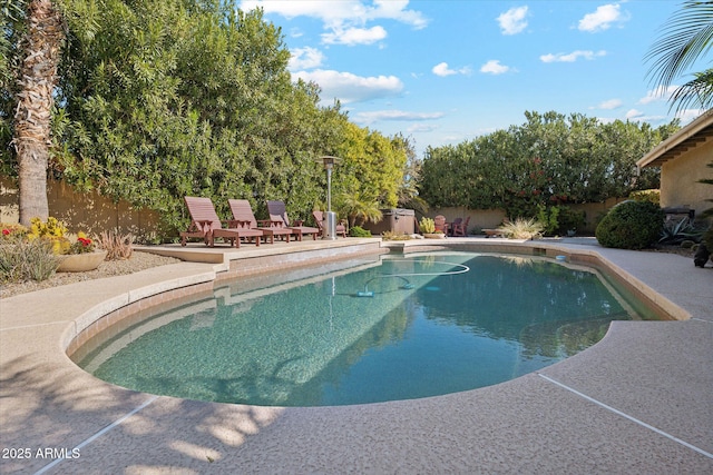 view of pool featuring a patio