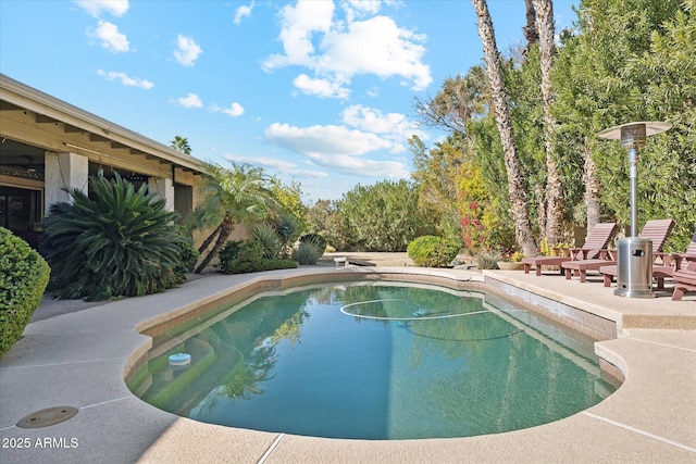 view of pool with a patio