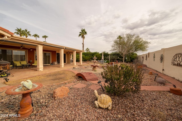 view of yard featuring a patio area