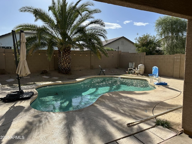 view of pool featuring a patio