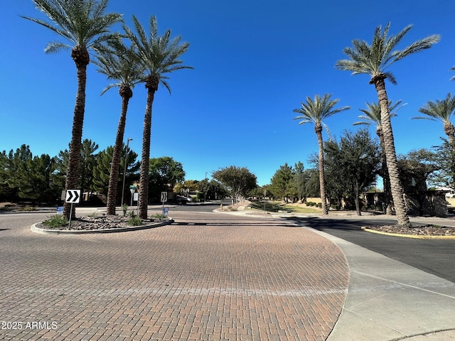 view of road with curbs and street lights