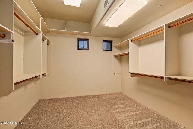 walk in closet with carpet